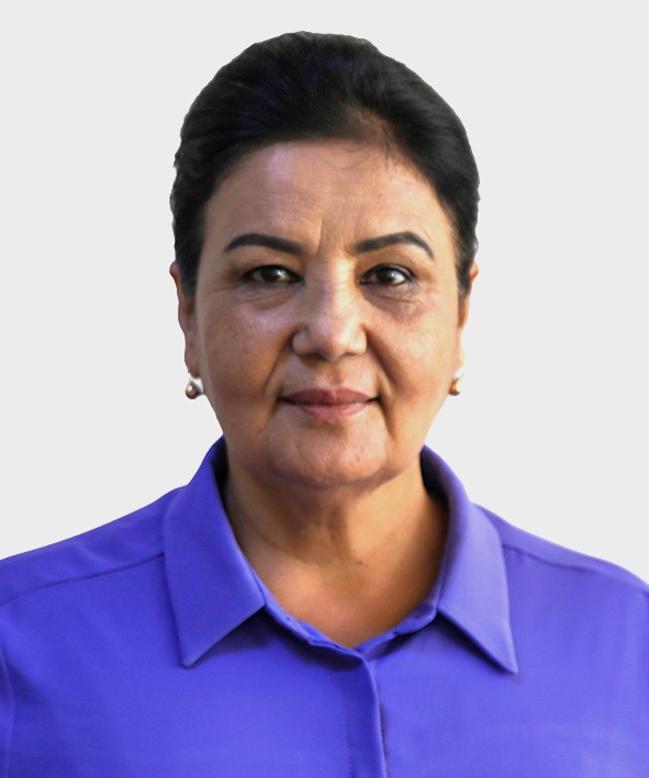 Öğretim Üyesi